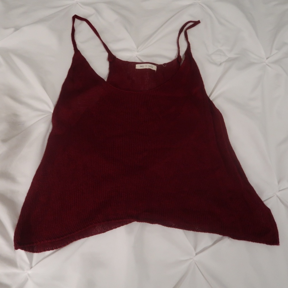 Burgundy Knit Crop Top